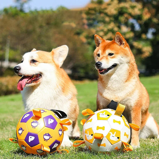 Interactive Soccer Ball Toy for Dogs: Perfect for Outdoor Training